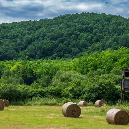Panoramahaz * Bukkszek